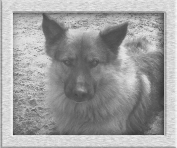 Asko's Vater