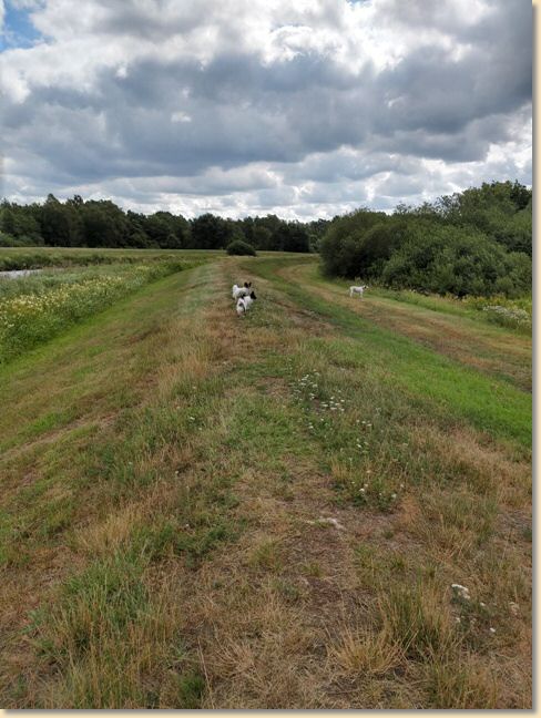 IMG_20190721_113609342_HDR.jpg