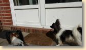 IMG_20170705_101312223_BURST001klein.jpg