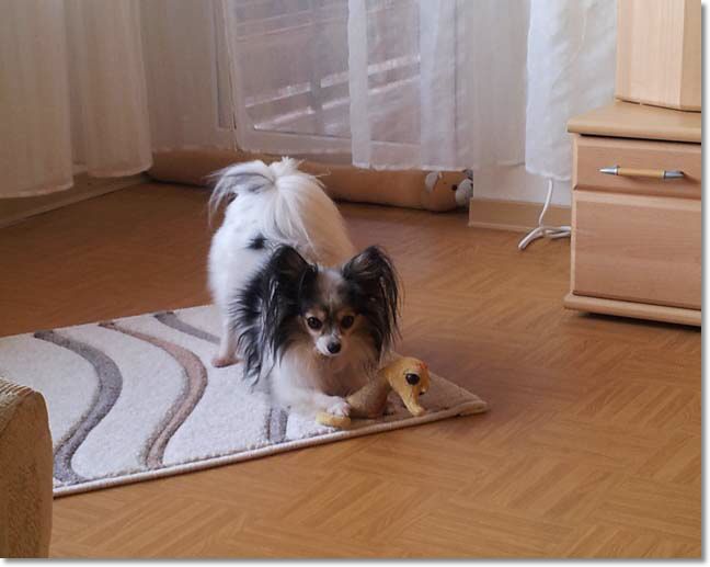 20150313_170535.jpg