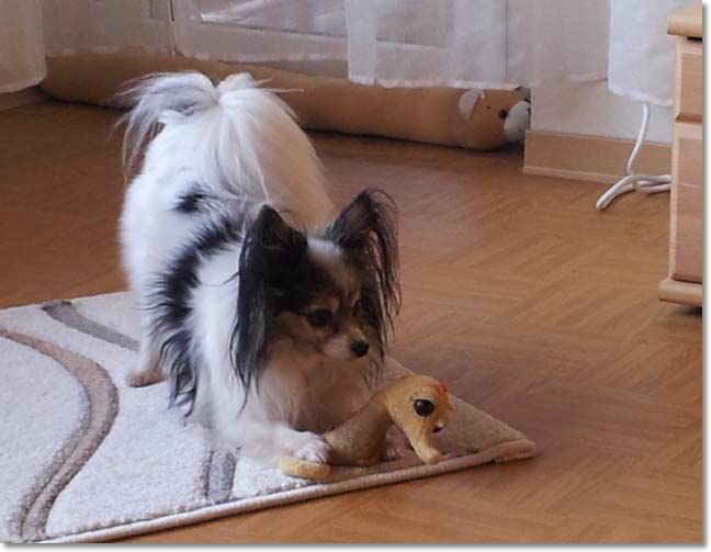 20150313_170545.jpg