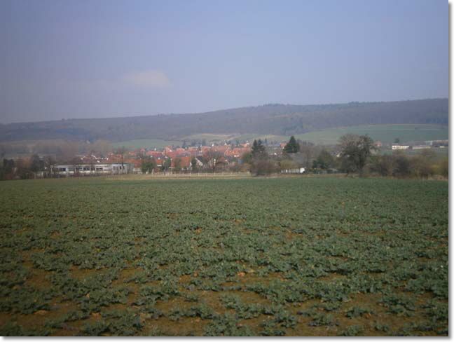 P3160009.jpg