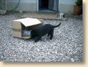 Nele11.jpg