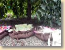 DSCN0271.jpg