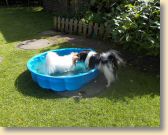 DSCN0251.jpg