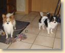 DSC02674.jpg