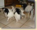DSC02681.jpg