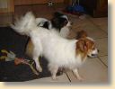 DSC02683.jpg