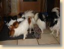 DSC02687.jpg