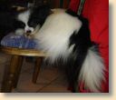 DSC02690.jpg
