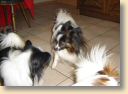 DSC02693.jpg