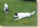 DSC02713.jpg