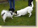 DSC02726.jpg