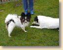 DSC02727.jpg