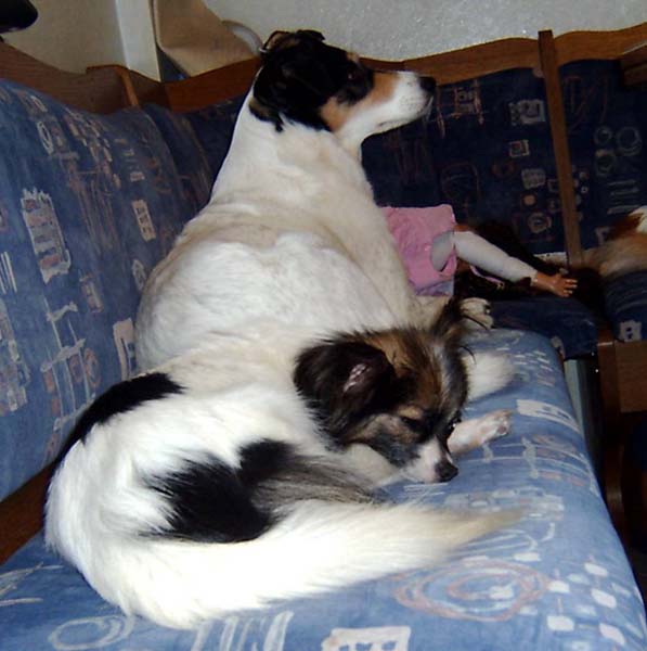 IMAG0037.jpg