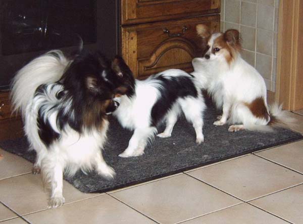 IMG00005_2.jpg