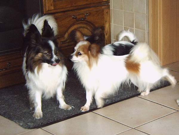 IMG00009_2.jpg