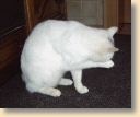 IMG00016.jpg