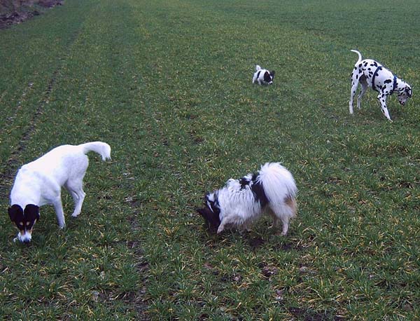IMG00030.jpg