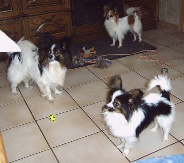IMG00038.jpg