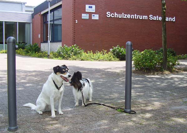 SchuleuaCK006.jpg