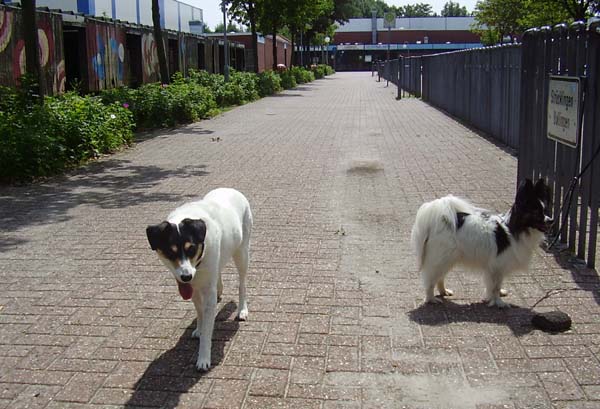 SchuleuaCK009.jpg