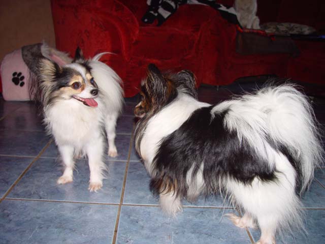 DSC02287.jpg