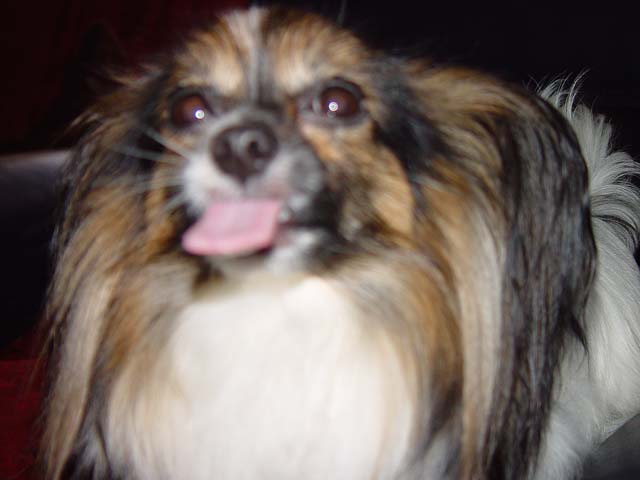 DSC02293.jpg