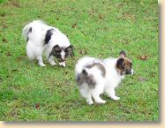 DSC02305.jpg