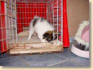DSC02315.jpg