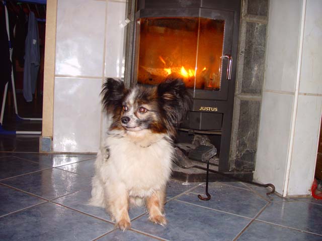 DSC02321.jpg