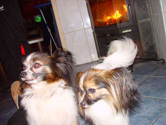 DSC02322.jpg