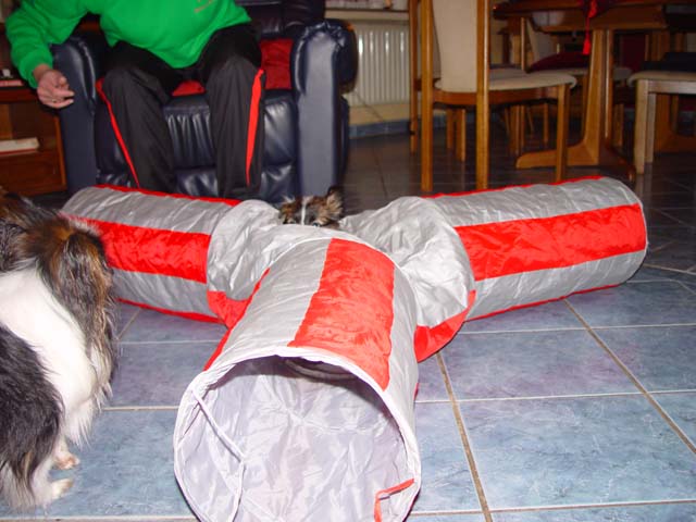 DSC02325.jpg