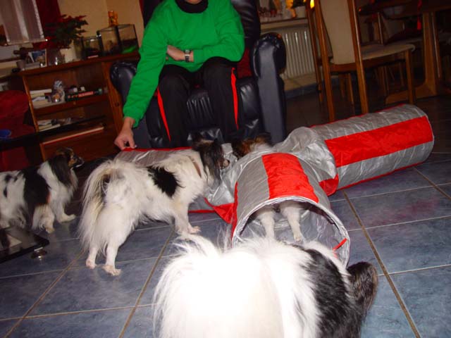 DSC02326.jpg