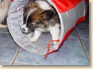 DSC02327.jpg