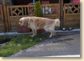 DSCN0311.jpg