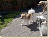 DSCN0313.jpg