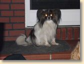 DSCN0333.jpg