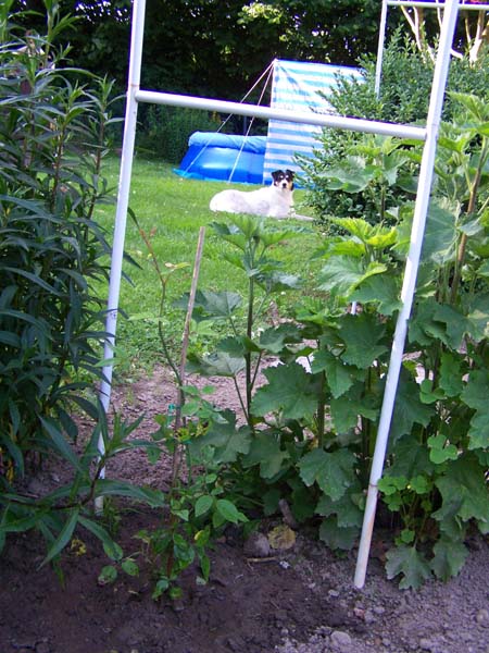 Urlaub0709_001.jpg