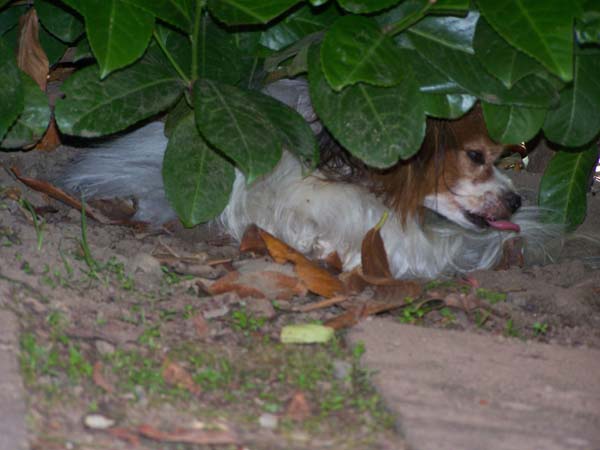 Urlaub0709_036.jpg