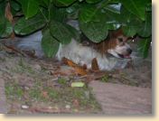 Urlaub0709_036.jpg