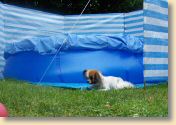 Urlaub0709_059.jpg