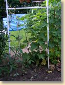 Urlaub0709_100.jpg