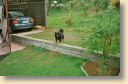 UsedomTapsi2_Okt2003.jpg