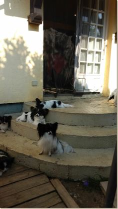 IMG-20180511-WA0010.jpg