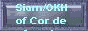 Siamkatzen of Cor