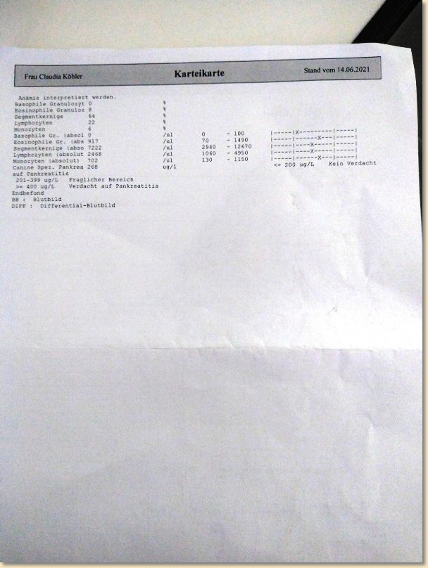 IMG_20210630_173829113.jpg