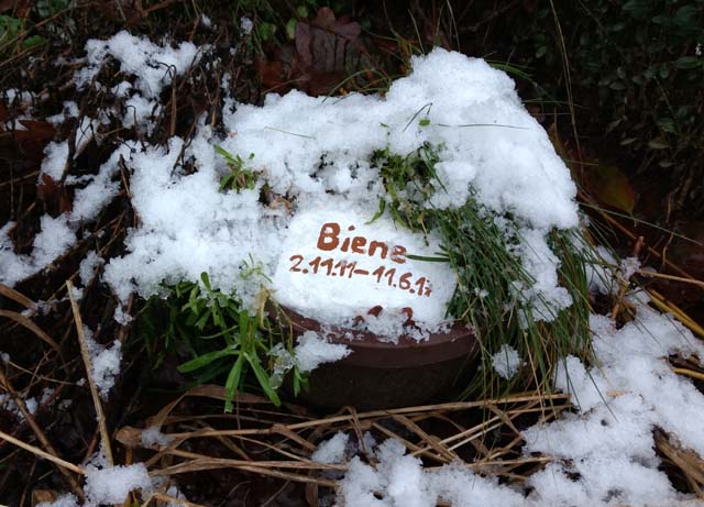 du fehlst sooooo sehr