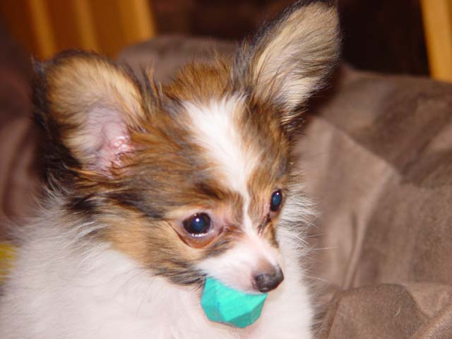 DSC02350.jpg