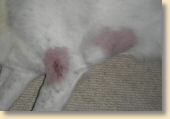 220109_018.jpg